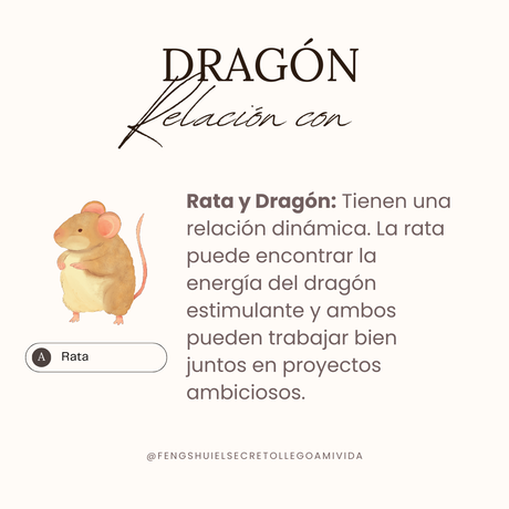 Relaciones horóscopo chino con el Dragón 🐲