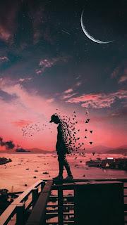 5.693 - TE ROMPIERON LA VIDA...