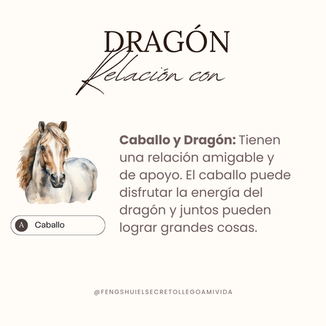 Relaciones del horóscopo chino con el Dragón 🐲