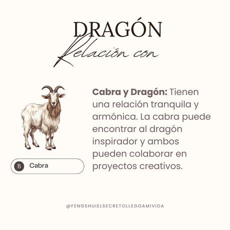 Relaciones del horóscopo chino con el Dragón 🐲