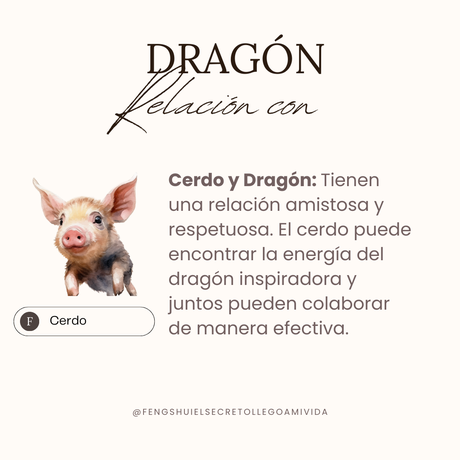 Relaciones del horóscopo chino con el Dragón 🐲