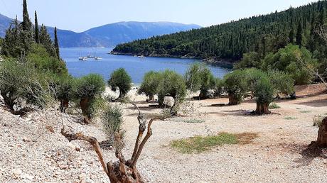 GRECIA: EL ENCANTO DE FISKARDO EN LA ISLA DE CEFALONIA
