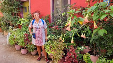 GRECIA: EL ENCANTO DE FISKARDO EN LA ISLA DE CEFALONIA