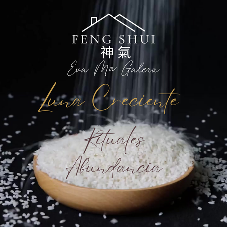 Luna Creciente 🌒 21/12/23