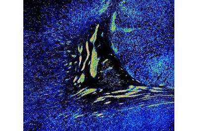 El desarrollo del cerebro continúa después del nacimiento