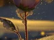 5.695 felices fiestas...