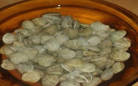 Chirlas en salsa de alcachofas Chirlas en salsa de alcachofas