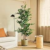 BLAINE Planta Artificial con Productos Naturales, Elaborados con los Mejores Materiales, Ideal para Decoración de hogar, Planta, Árbol Planta Artificial (150cm, Ficus)