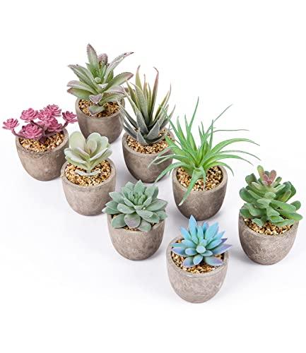 JOSPL Plantas Suculentas Artificiales, 8pcs Plantas Pequeñas Decorativas