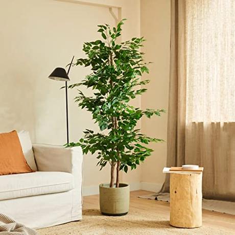 BLAINE Planta Artificial con Productos Naturales, Elaborados con los Mejores Materiales, Ideal para Decoración de hogar, Planta, Árbol Planta Artificial (150cm, Ficus)