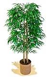 Maia Shop Bambú Cañas Naturales, Ideal para Decoración de Hogar, Planta, Árbol Artificial (150 cm)