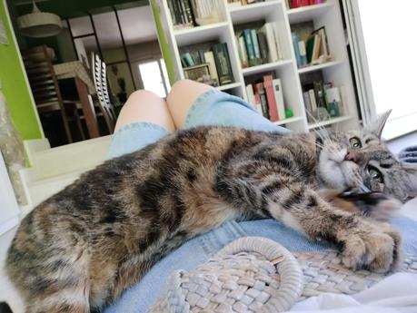 Una Maga apellidada Menganita Una Maga apellidada Menganita