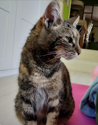 Una Maga apellidada Menganita Una Maga apellidada Menganita