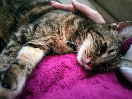 Una Maga apellidada Menganita Una Maga apellidada Menganita