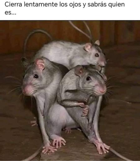 Pedro Sánchez es un dictador