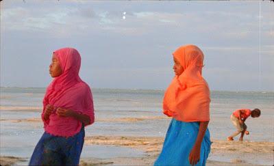 Samsara; Una prueba a la fuerza de voluntad