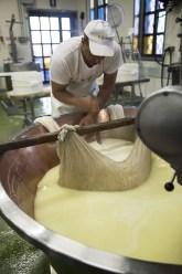 Queso Parmigiano Reggiano