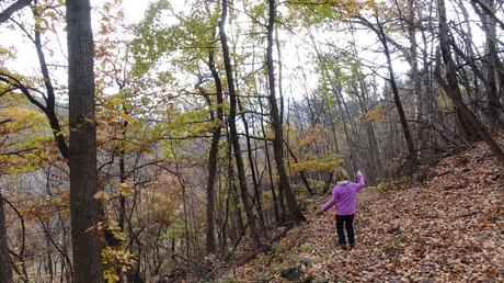 Ruta por los alrededores de Ur