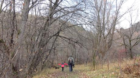 Ruta por los alrededores de Ur