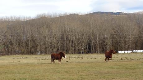 Camí de Sant Marc Camí de Sant Marc