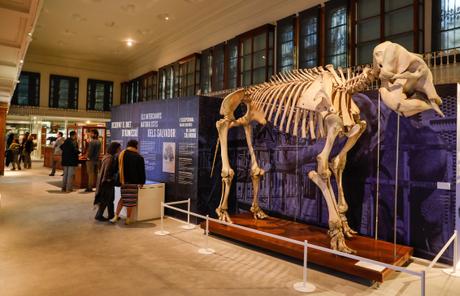 El Museo Martorell reabre sus puertas después de 13 años de cierre