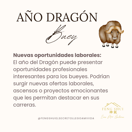 Año del Dragón 🐉 para el Buey