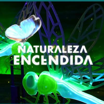 Naturaleza Encendida: Insectos
