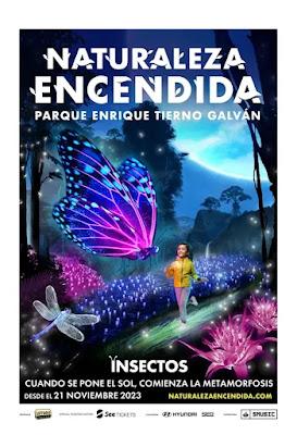 Naturaleza Encendida: Insectos