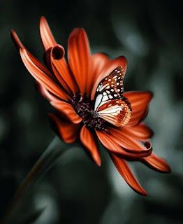 5.700 - UN SUSPIRO...