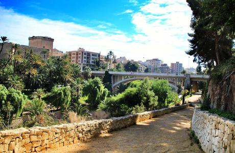 Presupuestos Elche 2024: Los más Sociales de la Historia