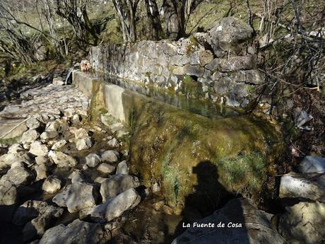 Arenas de Cabrales-Nava-El Jorcáu del Cuernu-Lles