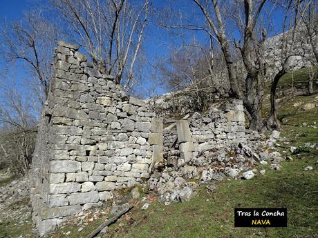 Arenas de Cabrales-Nava-El Jorcáu del Cuernu-Lles