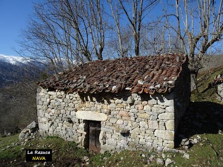 Arenas de Cabrales-Nava-El Jorcáu del Cuernu-Lles