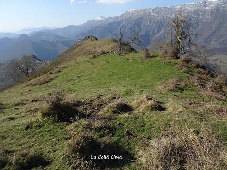 Arenas de Cabrales-Nava-El Jorcáu del Cuernu-Lles