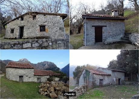 Arenas de Cabrales-Nava-El Jorcáu del Cuernu-Lles
