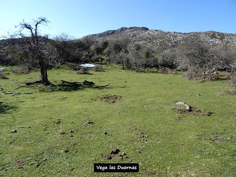 Arenas de Cabrales-Nava-El Jorcáu del Cuernu-Lles