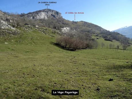 Arenas de Cabrales-Nava-El Jorcáu del Cuernu-Lles