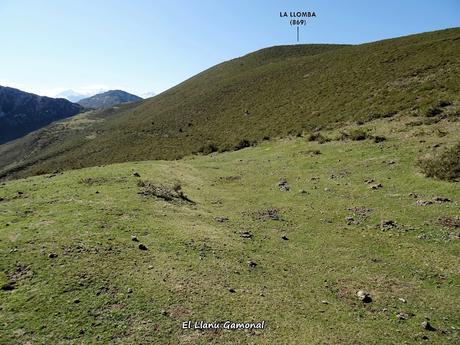 Arenas de Cabrales-Nava-El Jorcáu del Cuernu-Lles