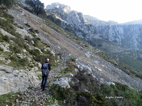 Arenas de Cabrales-Nava-El Jorcáu del Cuernu-Lles
