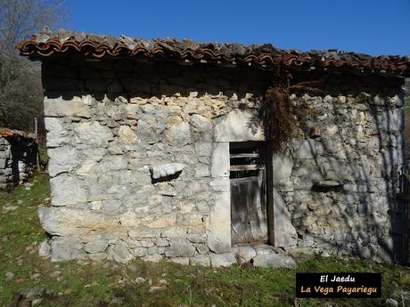 Arenas de Cabrales-Nava-El Jorcáu del Cuernu-Lles