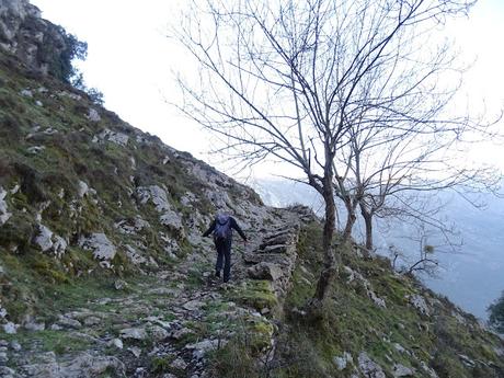 Arenas de Cabrales-Nava-El Jorcáu del Cuernu-Lles