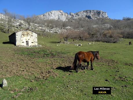 Arenas de Cabrales-Nava-El Jorcáu del Cuernu-Lles