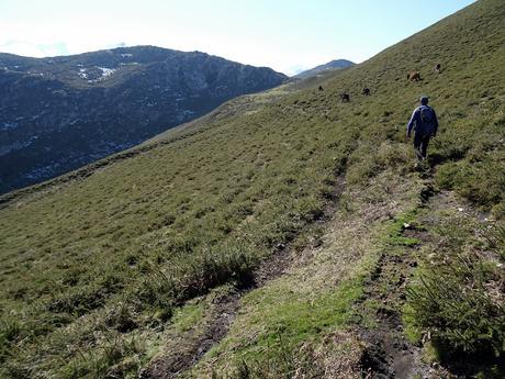 Arenas de Cabrales-Nava-El Jorcáu del Cuernu-Lles