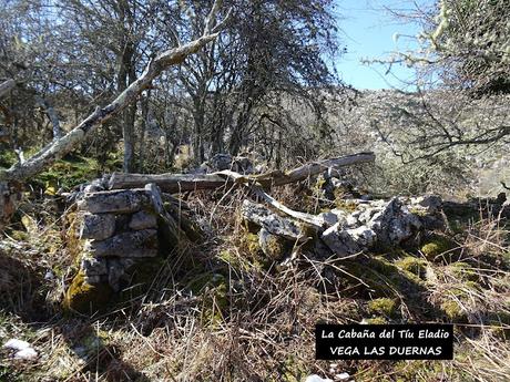 Arenas de Cabrales-Nava-El Jorcáu del Cuernu-Lles