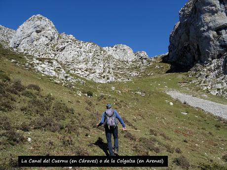 Arenas de Cabrales-Nava-El Jorcáu del Cuernu-Lles