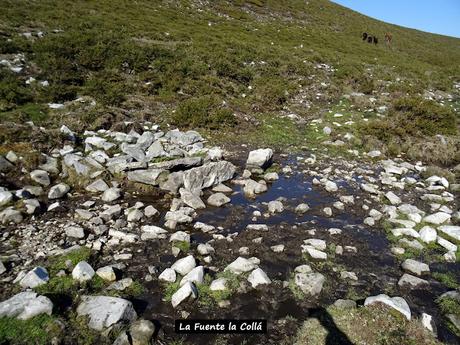 Arenas de Cabrales-Nava-El Jorcáu del Cuernu-Lles
