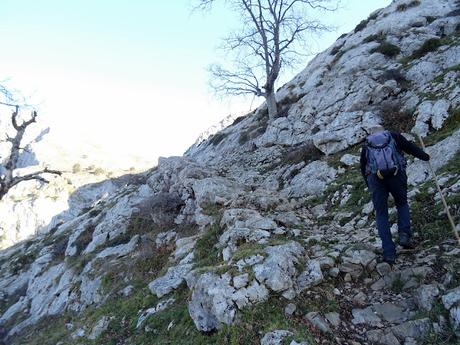 Arenas de Cabrales-Nava-El Jorcáu del Cuernu-Lles