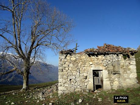 Arenas de Cabrales-Nava-El Jorcáu del Cuernu-Lles