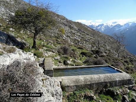 Arenas de Cabrales-Nava-El Jorcáu del Cuernu-Lles