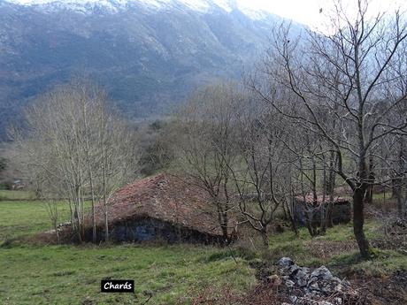 Arenas de Cabrales-Nava-El Jorcáu del Cuernu-Lles